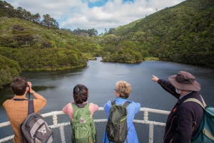 Zealandia by Day Tour