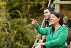 Zealandia by Day Tour