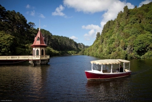 Zealandia by Day Tour