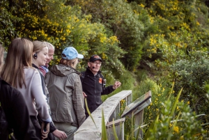 Zealandia by Day Tour