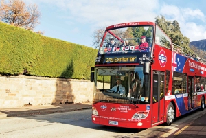 48 時間ホバート市内乗り降り自由ツアー
