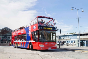 48 時間ホバート市内乗り降り自由ツアー
