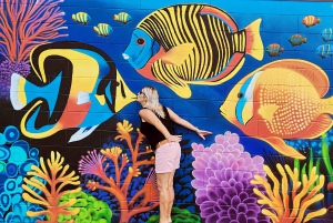 Airlie Beach: tour di 3 ore tra scatti e highlight