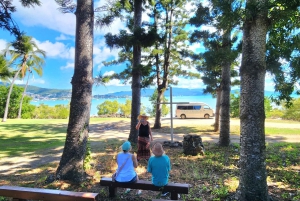 Airlie Beach: tour di 3 ore tra scatti e highlight