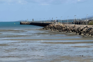 Airlie Beach: Tagestour zu den schönen Stränden von Bowen.