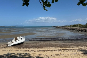 Airlie Beach: Tagestour zu den schönen Stränden von Bowen.