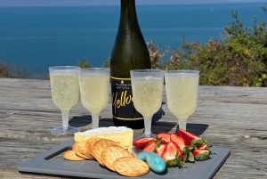 Airlie Beach: Tagestour zu den schönen Stränden von Bowen.