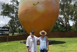 Airlie Beach: Tagestour zu den schönen Stränden von Bowen.