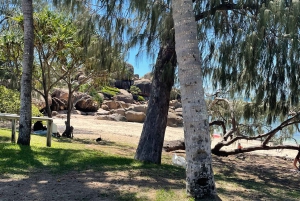 Airlie Beach: Tagestour zu den schönen Stränden von Bowen.