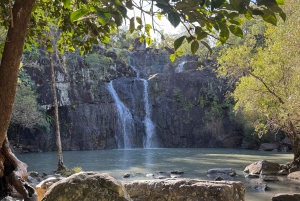 エアリービーチ：シーダークリーク エクスプレス エコツアー
