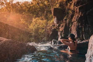 Airlie Beach: Cedar Creek Falls & Northerlies Beach Day Trip