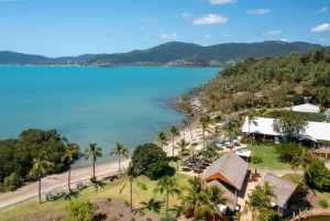 Airlie Beach: Cedar Creek Falls & Northerlies Beach Day Trip