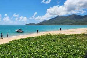 Kysteventyr: Dingo Beach og Cape Gloucester