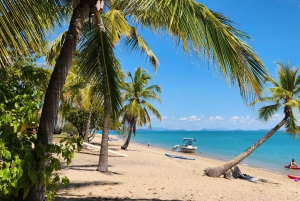 Kysteventyr: Dingo Beach og Cape Gloucester