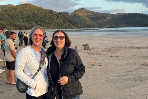 Airlie Beach: økologisk frokosttur med kenguruer og gjeterhunder ved soloppgang