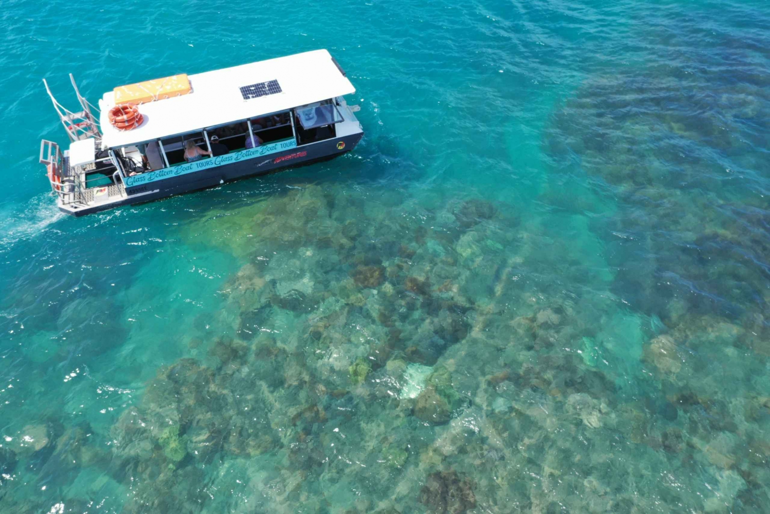 Airlie Beach: Glasboden-Bootstour