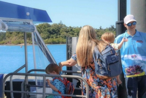 Airlie Beach: Glasboden-Bootstour