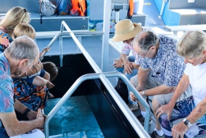 Airlie Beach: Glasboden-Bootstour