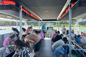 Airlie Beach: Glasboden-Bootstour