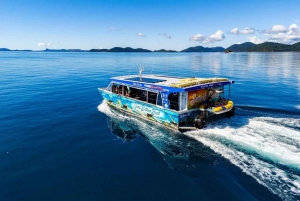 Airlie Beach: Glasboden-Bootstour