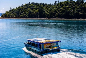 Airlie Beach: Glasboden-Bootstour