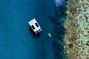 Airlie Beach: Glasboden-Bootstour