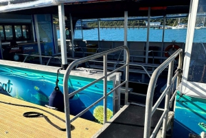 Airlie Beach: Glasboden-Bootstour