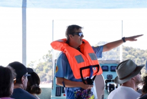 Airlie Beach: Glasboden-Bootstour