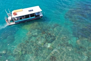 Airlie Beach: Glasboden-Bootstour