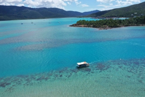Airlie Beach: Glasboden-Bootstour