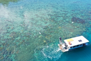 Airlie Beach: Glasboden-Bootstour