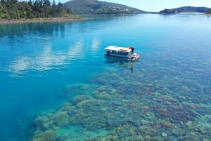 Airlie Beach: Glasboden-Bootstour