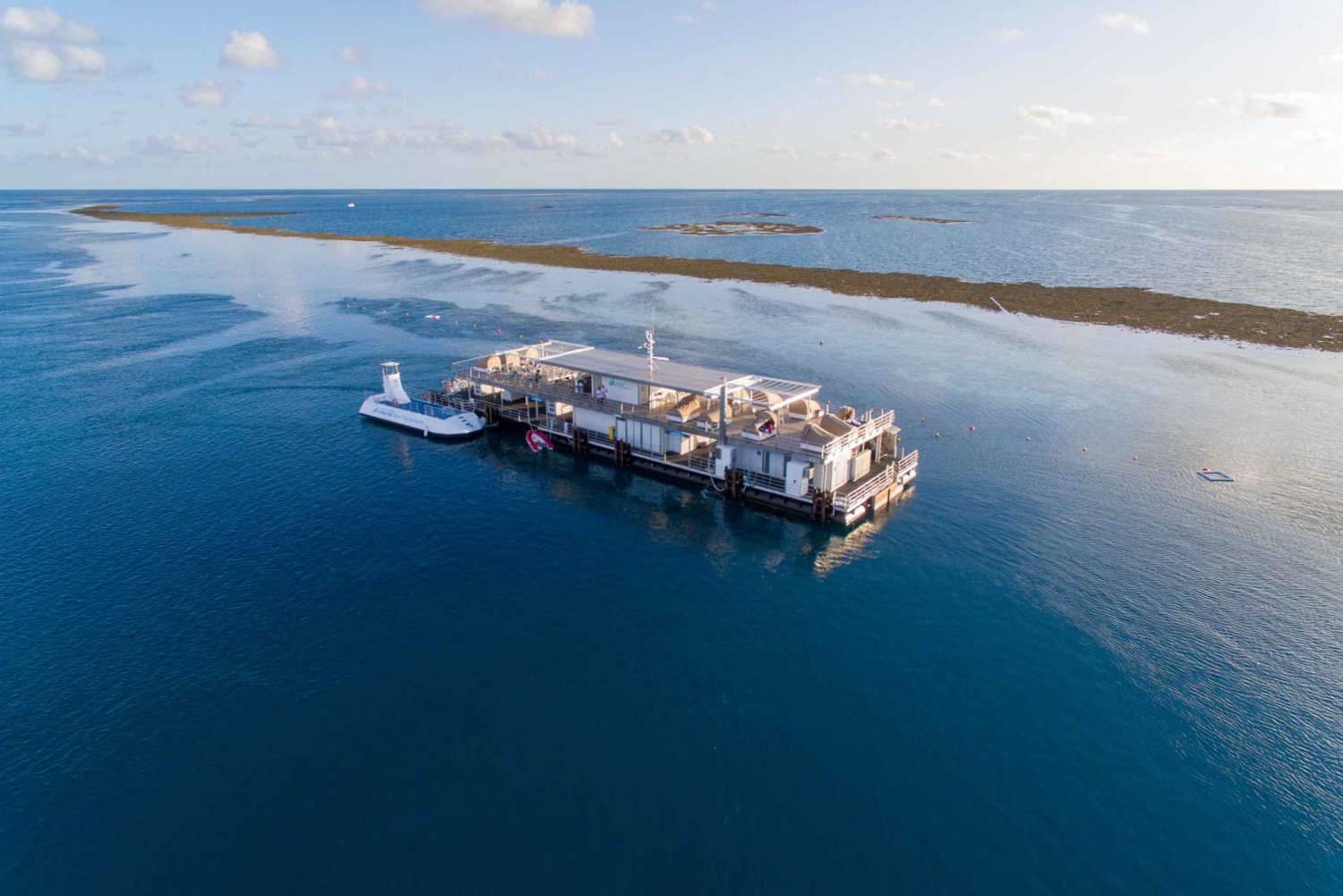 From Airlie Beach: Great Barrier Reef Pontoon Experience