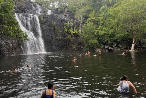 エアリービーチ：シーダークリーク エクスプレス エコツアー