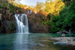 エアリービーチ：シーダークリーク エクスプレス エコツアー