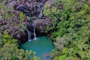 エアリービーチ：シーダークリーク エクスプレス エコツアー