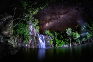 エアリービーチ：シーダークリーク エクスプレス エコツアー