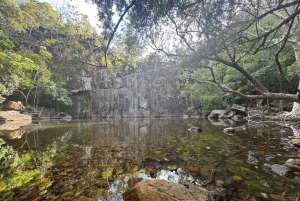 エアリービーチ：シーダークリーク エクスプレス エコツアー