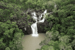 エアリービーチ：シーダークリーク エクスプレス エコツアー