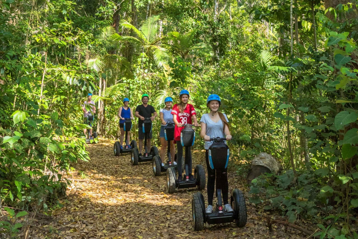 Airlie Beach: Segway-tur på opdagelse i regnskoven