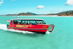 Airlie Beach: Whitehaven Full-Day Eco-Cruise with Lunch