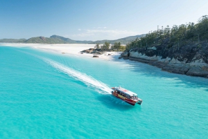 Airlie Beach: Whitehaven Full-Day Eco-Cruise with Lunch