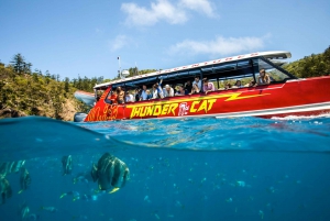 Airlie Beach: Whitehaven Full-Day Eco-Cruise with Lunch