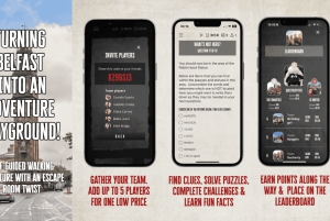 ベルファスト：街歩きツアー＆探検ゲーム