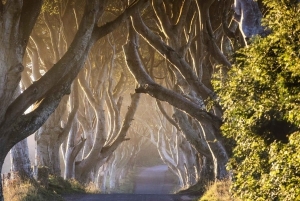 Belfast: Tur til Giant's Causeway med adgang til Titanic-utstillingen