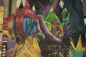 Belfast : Pub Music , Street Art Experience Tour a pie