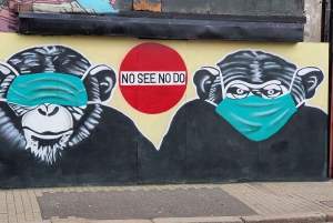 Belfast : Pub Music , Street Art Experience Tour a pie