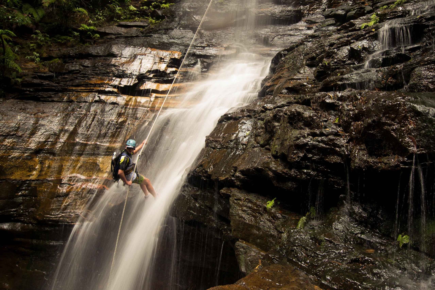 Blue Mountains: Upplevelse av abseiling och canyoning