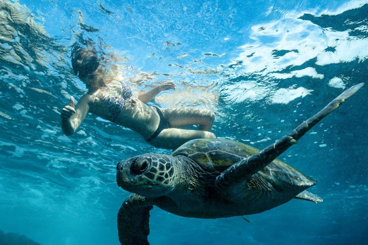 Byron Bay: Excursión de snorkel en Julian Rocks, Nguthungulli
