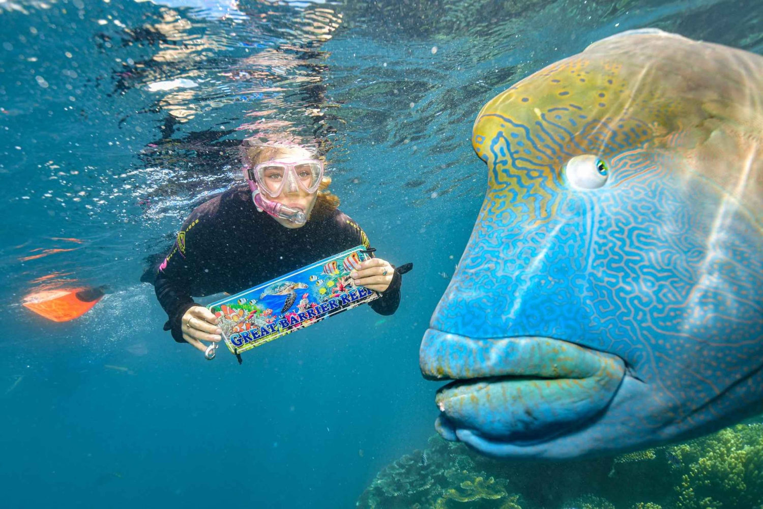 Кэрнс: 2-дневный тур на понтоне через Барьерный риф и остров Фицрой